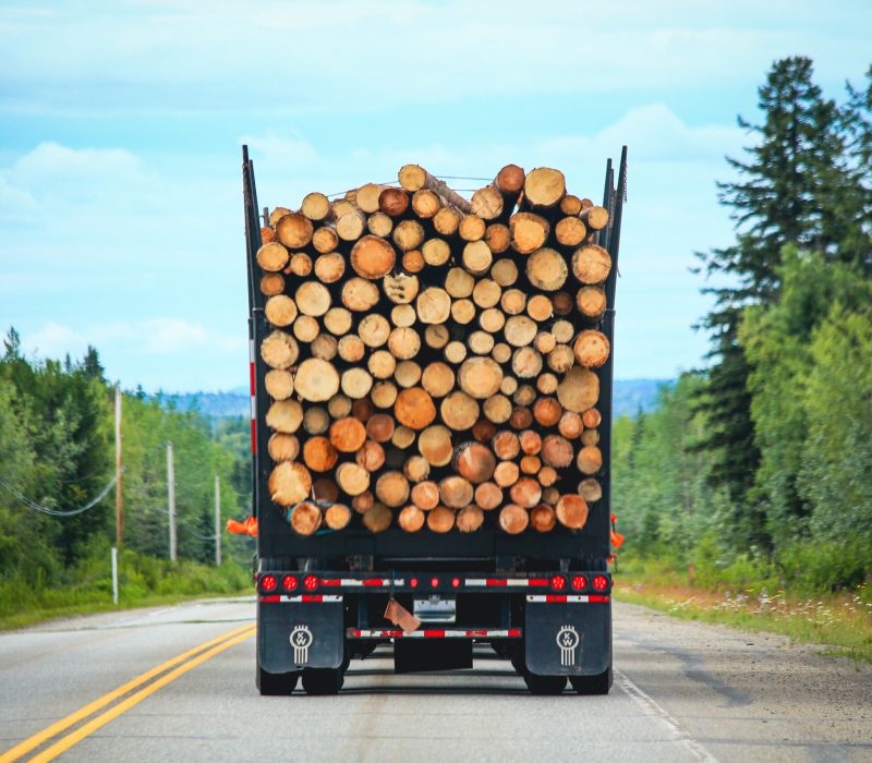 back-view-of-a-big-logging-truck-hauling-a-full-lo-2022-11-07-07-45-47-utc-scaled